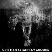 Artwork for Fly Around by Cristian Avigni