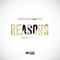 Artwork for Reasons (feat. Thuy) by Young Gully