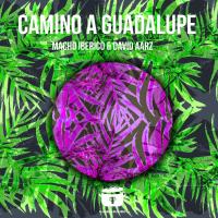 Artwork for Camino A Guadalupe by David Aarz