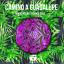 Artwork for Camino A Guadalupe (Original Mix)