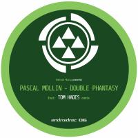 Artwork for Double Phantasy EP by Pascal Mollin