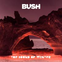 Artwork for The Sound of Winter by Bush