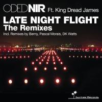 Artwork for Late Night Flight The Remixes by Oded Nir