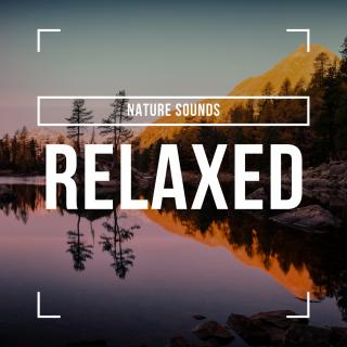 Artwork for Soothing Rainfall (Original Mix)
