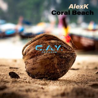 Artwork for Coral Beach
