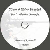 Artwork for Amaris/Rendull by Kiano