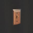 Artwork for Light Switch