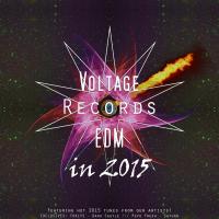 Artwork for Voltage Records EDM In 2015 by Various Artists