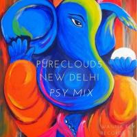 Artwork for New Delhi (Psy Mix) by Purecloud5