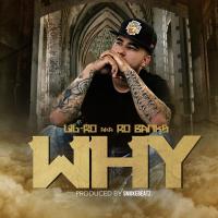 Artwork for Why by Lil Ro