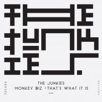 Artwork for Monkey Biz by The Junkies