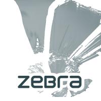 Artwork for Zebra by Electro Mojo