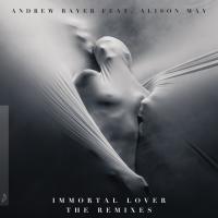 Artwork for Immortal Lover (The Remixes) by Andrew Bayer