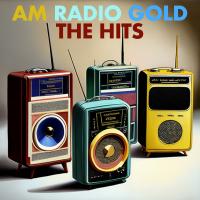 Artwork for AM Radio Gold: The Hits by Various Artists
