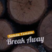 Artwork for Break Away by Salade Tomate