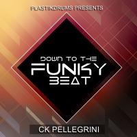 Artwork for Down To The Funky Beat by Ck Pellegrini