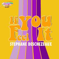 Artwork for If You Feel It by Stephane Deschezeaux