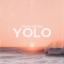 Artwork for YOLO