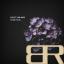 Artwork for All u need (Original Mix)