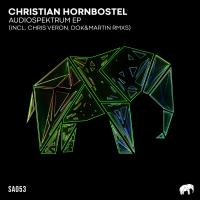 Artwork for Audiospektrum by Christian Hornbostel