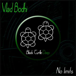Artwork for No Limits