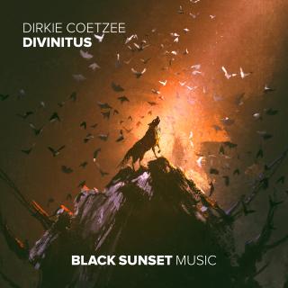 Artwork for Divinitus