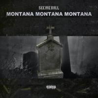 Artwork for See Me Ball by Montana Montana Montana