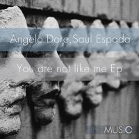 Artwork for You Are Not Like Me by Angelo Dore