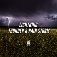 Artwork for Lightning, Thunder & Rain Storm by Nature Sounds Nature Music