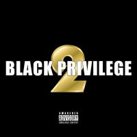 Artwork for Black Privilege 2 by Napoleon Da Legend