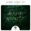 Artwork for Surveyor (Original Mix)