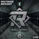 Artwork for Buckshot