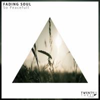 Artwork for So Peaceful by Fading Soul
