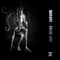 Artwork for False Life by Quadri