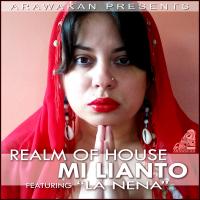 Artwork for Mi Llanto by Realm of House