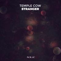 Artwork for Stranger by Temple Cow