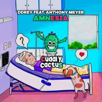 Artwork for Amnesia by DDRey