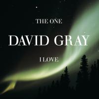 Artwork for The One I Love, Pt. 1 by David Gray