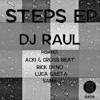 Artwork for Steps EP by DJ Raul