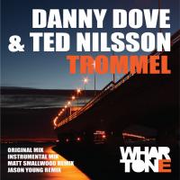 Artwork for Trommel by Danny Dove