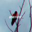 Artwork for Wrath Of An Angel (Original Mix)