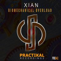 Artwork for Biomechanical Overload by Xian