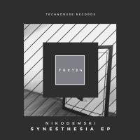 Artwork for Synesthesia EP by Nikodemski