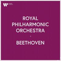 Artwork for Royal Philharmonic Orchestra - Beethoven by Royal Philharmonic Orchestra