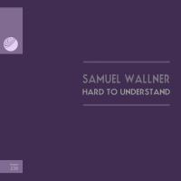 Artwork for Hard To Understand by Samuel Wallner