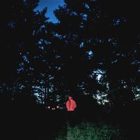 Artwork for ANYWHERE HERE IS PERFECT (DELUXE) by Sam Gellaitry