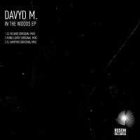 Artwork for In The Woods EP by Davyd M.