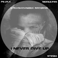 Artwork for I Never Give Up by Piluka