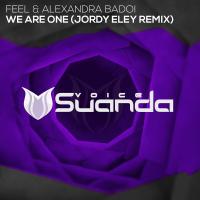 Artwork for We Are One (Jordy Eley Remix) by feel