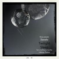 Artwork for Twilight Sleep Remix EP by Kriece